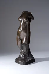 Torso