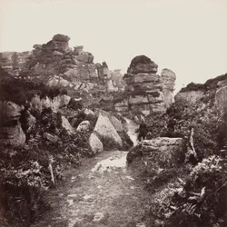 Brimham Rocks, Yorkshire