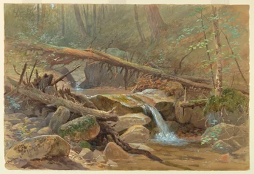 Teich im Wald