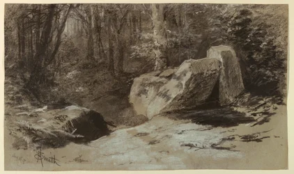 Felsen im Wald