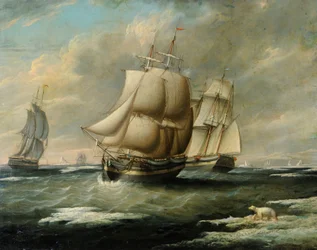 Das Liverpool-Walfangschiff 