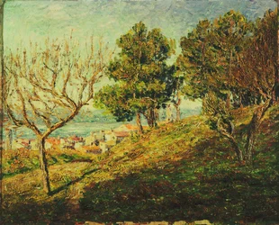 Blick auf Saint-Tropez