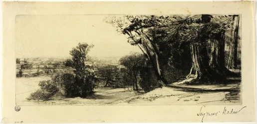 Früher Morgen, Richmond Park