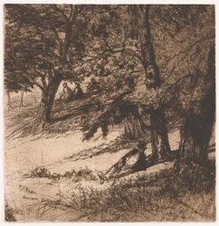 Sub Tegmine..., 1859