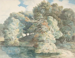 Bäume am See, Peamore Park, nahe Exeter, Devon