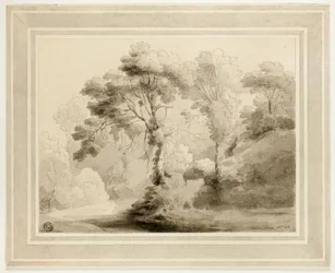 Waldlandschaft