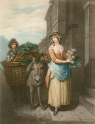 Rüben und Karotten