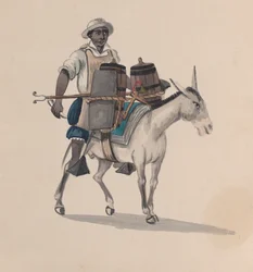 Ein Wasserträger reitet auf einem Esel, aus einer Gruppe von Zeichnungen, die peruanische Kostüme darstellen, ca. 1848