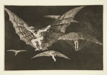 Modo de volar (Eine Art zu fliegen), pl. 13 aus der Serie Los proverbios