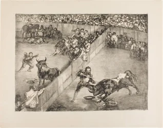 Stierkampf in einem geteilten Ring, aus Die Stiere von Bordeaux