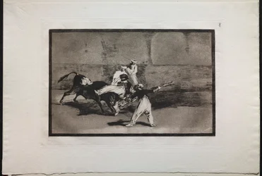 Stierkämpfe: Ein Maure wird in der Arena von einem Stier gefangen, 1876