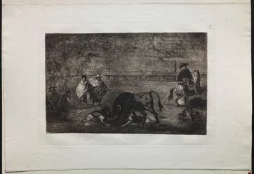 Stierkämpfe: Der Hund auf den Stier losgelassen, 1876