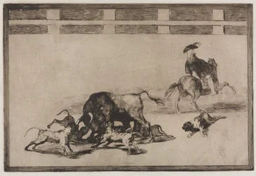 Stierkämpfe: Sie lassen Hunde auf den Stier los, 1876