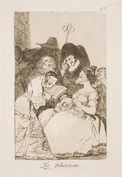 Der Stammbaum