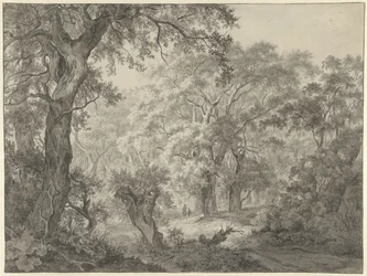 Waldlandschaft