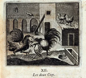 Beide Hähne. Fabeln von Jean de La Fontaine (1621-95). Illustration von François Chauveau (1613-1676). Ausgabe von 1728.