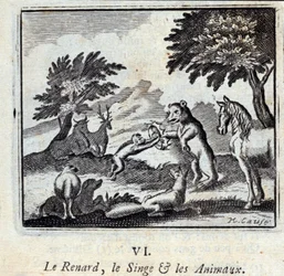 Illustration aus den 