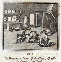Der Streit der Hunde und Katzen und der Katzen und Mäuse. Fabeln von Jean de La Fontaine. Illustration von François Chauveau. Ausgabe von 1728.