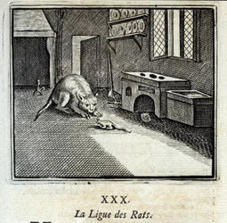 Die Rattenliga. Fabeln von Jean de La Fontaine. Illustration von François Chauveau. Ausgabe von 1728.