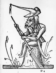 Illustration aus 