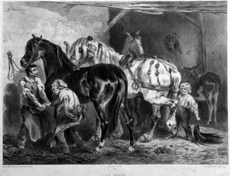 Die Schmiede, Pferdebeschläge