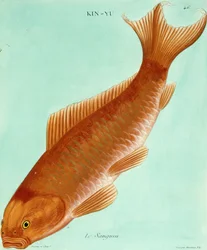 Le Sanguin