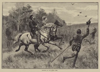 Falknerei in alten Zeiten