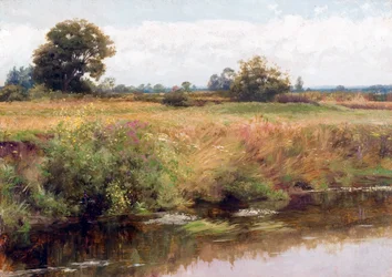 Eine Landschaft in Surrey