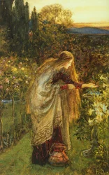 Die empfindsame Pflanze