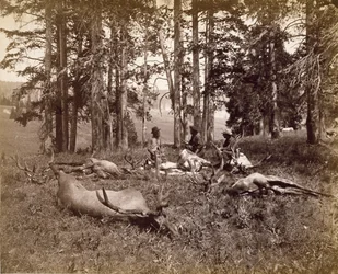 Elchjäger, Yellowstone, ca. 1880