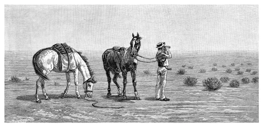 Nichts in Sicht, 1886