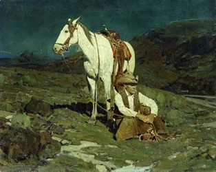 Der Nachtfalke