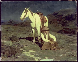 Der Nachtfalke