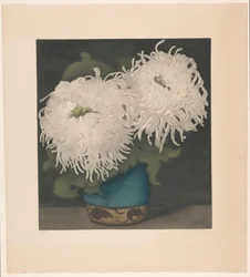 Zwei Chrysanthemen