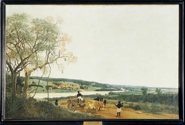 Der Ochsenkarren, brasilianische Landschaft