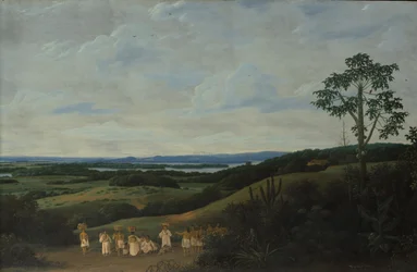 Eine brasilianische Landschaft, 1650