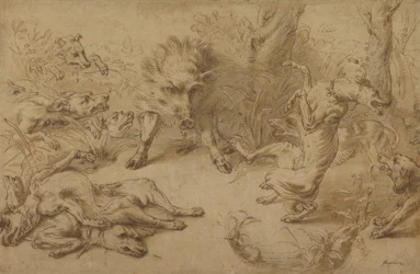 Ein Wildschwein in der Enge