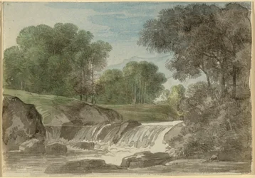 Baumlandschaft