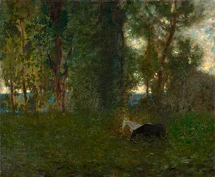 Weidende Pferde