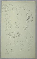 Anatomische Studien