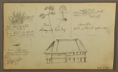 Zeichnung, Eine Festung; Verso: Botanische Skizzen, Haus, 1857