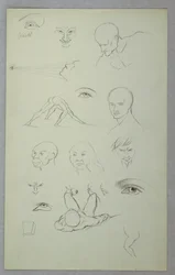 Anatomische Studien, 1865–1870