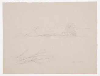 Zeichnung, Botanische Skizzen: Landschaft, Bäume an einem Ufer, September 1876