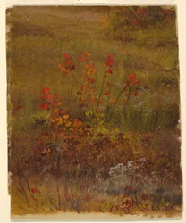 Zeichnung, Botanische Studien, Oktober 1865