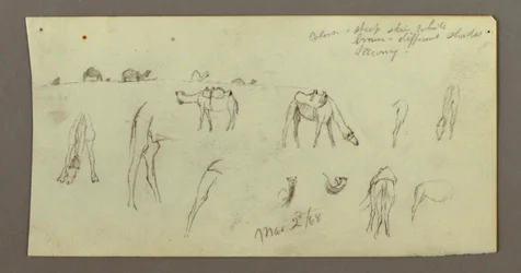 Kamelstudien, 2. März 1868
