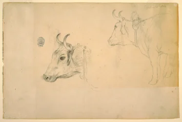 Zeichnung, Vieh, September 1844