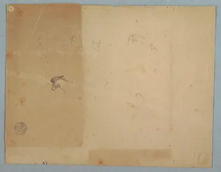 Details von Eselköpfen, Südamerika, 1853