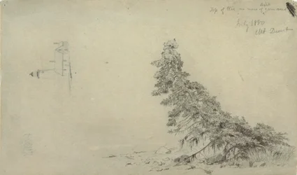 Zeichnung, Immergrüner Baum in der Nähe der Küste mit einem Detail des Leuchtturms und eines Hauses, Mount Desert, Maine, Juli 1850