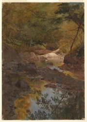Zeichnung, In den Wäldern von Neuengland, 1855–65