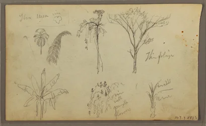 Zeichnung, Landschaft, Guayaquil, Ecuador, 21. Mai 1857